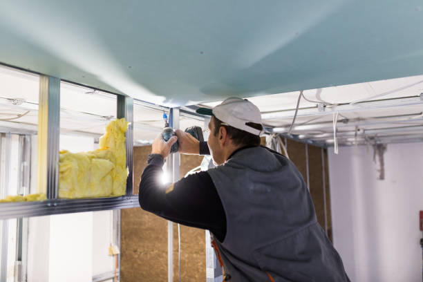 Best Specialized Insulation Services in Columbia, IL