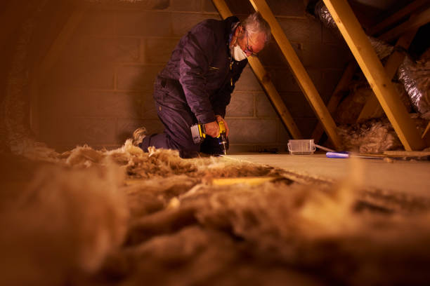 Best Energy Efficiency Insulation in Columbia, IL