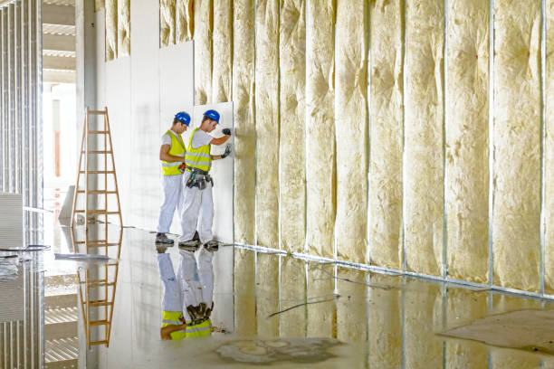 Best Residential Insulation in Columbia, IL